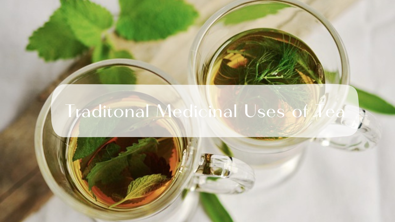 Traditional Medicinal Uses of Tea