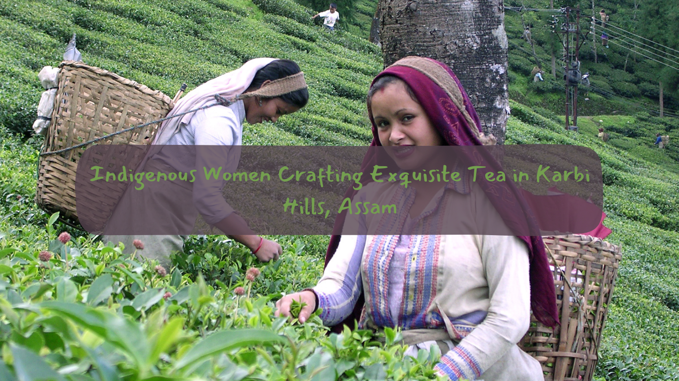 Indigenous Women Crafting Exquisite Tea in Karbi Hills, Assam