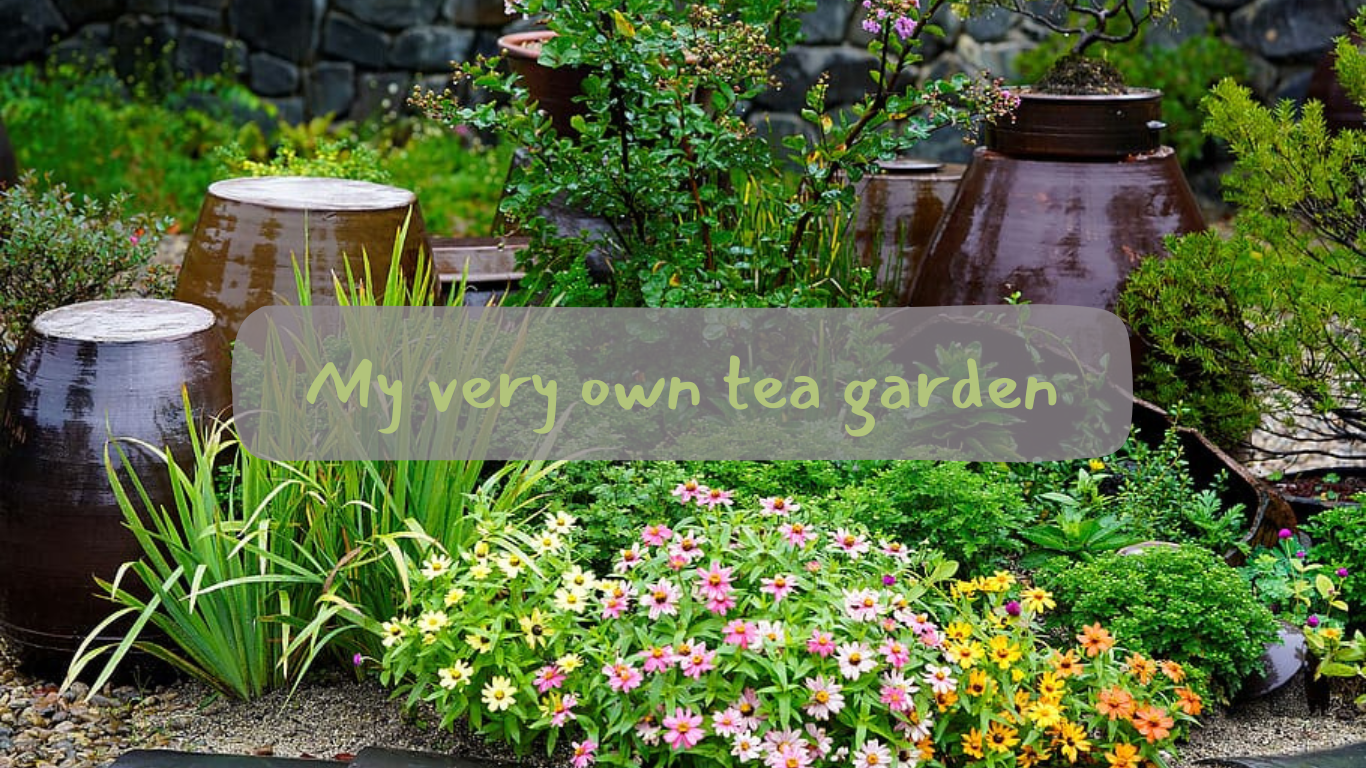 very own tea garden