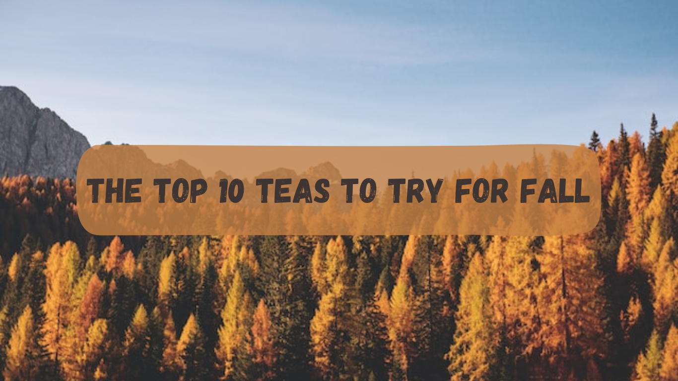 The 10 Must-Try Teas For Fall: A Curated List For Seasoned Sippers