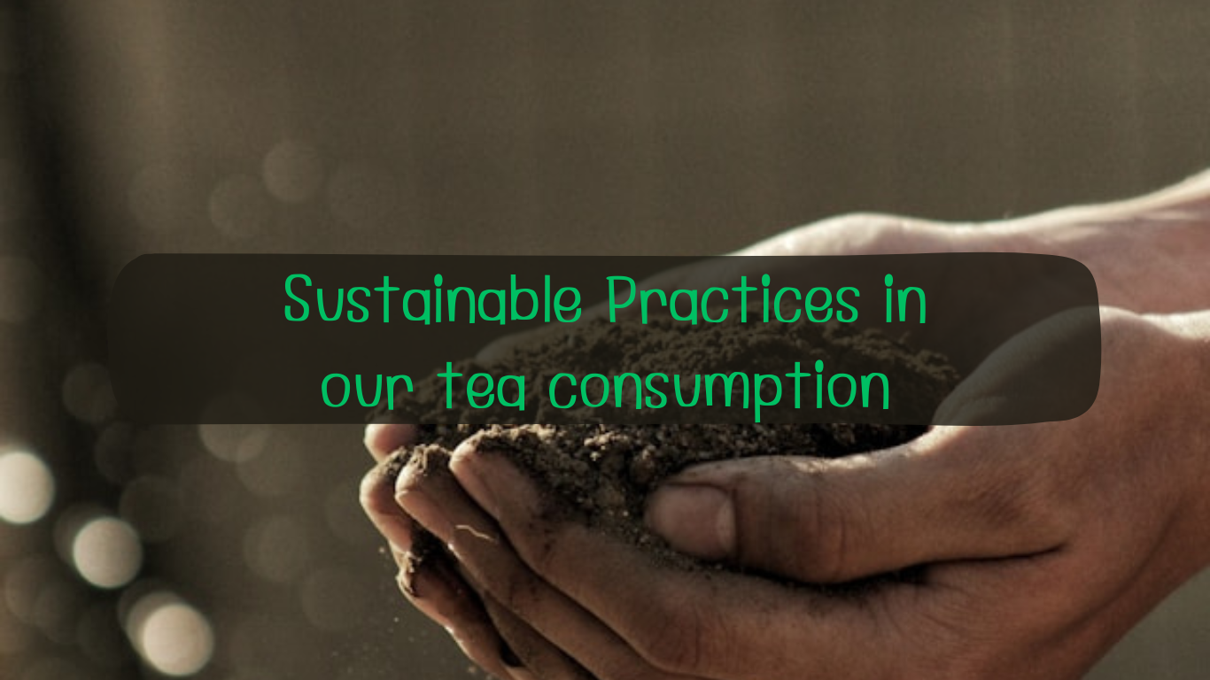 Mastering the Art of sustainable practices in our tea consumption